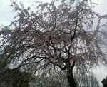 200703311518000.jpg